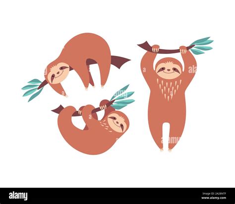 Set Of Cute Cartoon Sloths Isolated On White Background Flat Vector Illustration Stock Vector