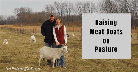 Raising Meat Goats on Pasture