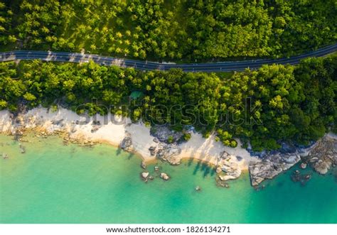 high angle top view beach  tree sea   images shutterstock