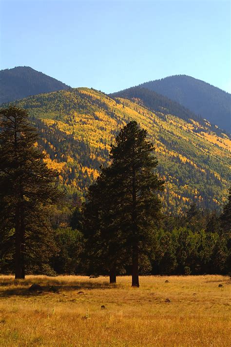 Lockett Meadow Flagstaff Arizona Flickr Photo Sharing