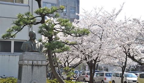 School of Medicine, Faculty of Medicine, Niigata University