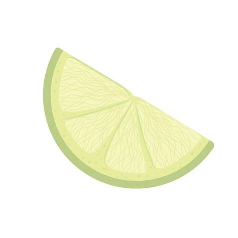 Lemon Citrus Fruit 12582529 Vector Art At Vecteezy