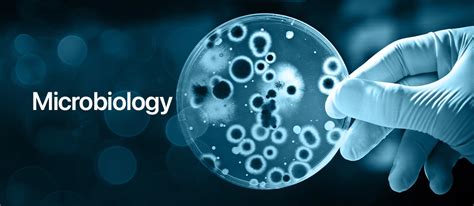 Share 81 Microbiology Wallpaper Best Vn