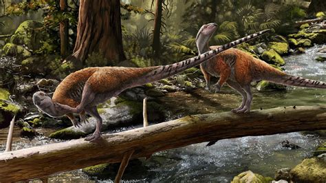 “Utterly Bizarre” – Scientists Discover Another New Species of Dinosaur ...