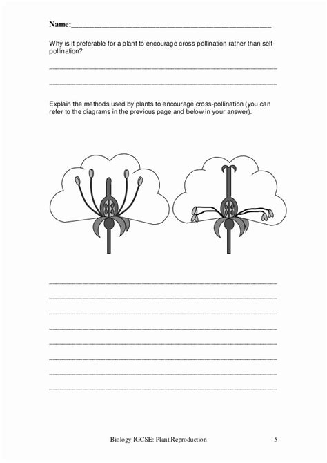 Plant Reproduction Worksheet Pdf