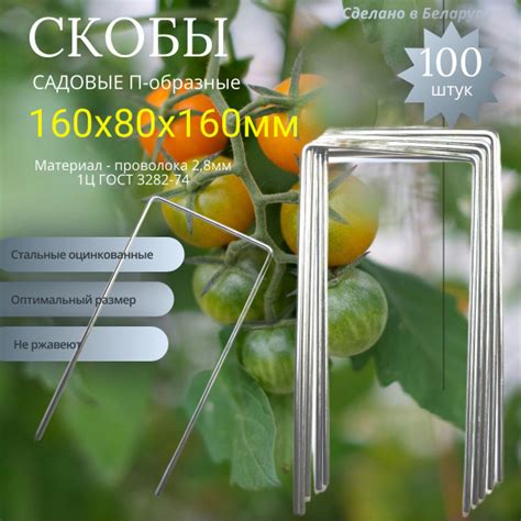 Садовые скобы (колышки) 100 шт., П-образные, 160х80х160 металлические ...