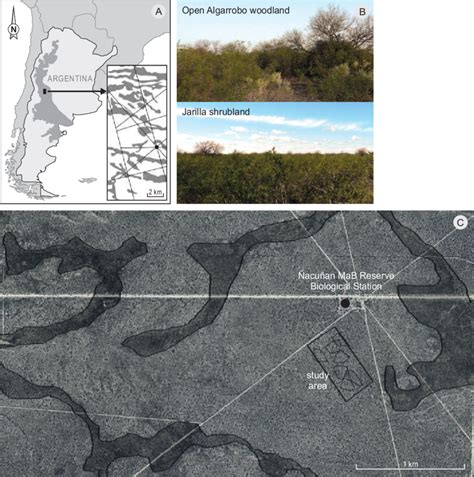 (A) Map of Argentina showing the extent of the Monte desert (grey area ...