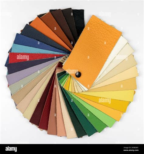 Leather Color Swatch On White Background Stock Photo Alamy