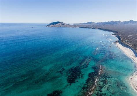 Parque Nacional Marino De Cabo Pulmo En Los Cabos Todos Los Tips