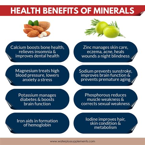 Just Like Vitamins Minerals Help Your Body Grow Develop And Stay