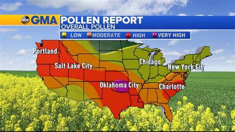 High Pollen Reports Across Most Of The Country Video Abc News