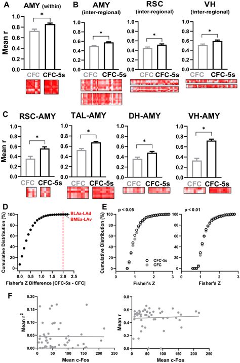 Major Brain Subdivisions With Higher Internal And External Functional