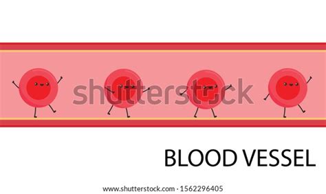 Blood Vessel Cartoon Vector Blood Character Stock Vector Royalty Free