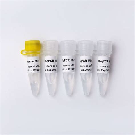 Kit De Reagentes DNA Polimerase V2 Guangzhou Dongsheng Biotech Co