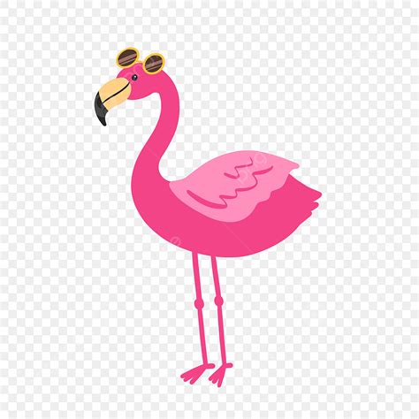 Flamingo With Sunglasses Clipart Transparent Background Hand Drawn