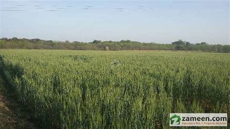 Agriculture Land For Sale Others Chakwal ID8510867 Zameen