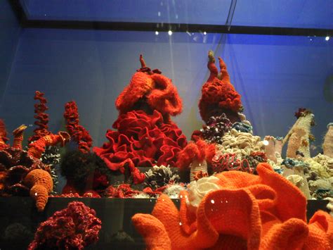 Art Matters The Hyperbolic Crochet Coral Reef On Display At The