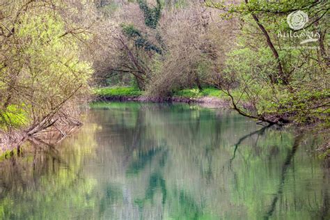 The Zlatna Panega Karst Lake Near The Village Of Zlatna Panega