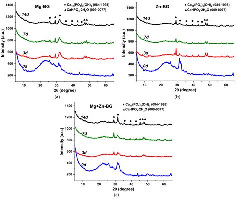 Jfb Free Full Text Mesoporous Bioactive Glass Nanoparticles In The Sio2 P2o5 Cao Mo Mmg