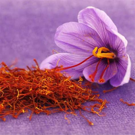 Greek Red Saffron Filaments Organic Kirian Greek Imports