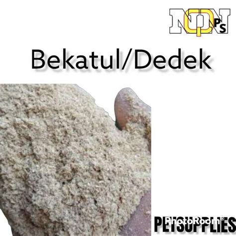 jual dedak pakan ayam terdekat harga grosir murah terupdate hari