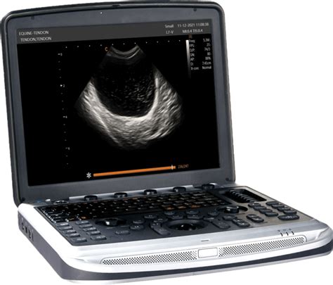 Portable Veterinary Ultrasound Universal Imaging Inc