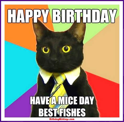 Funny Happy Birthday Memes With cats, Dogs & Funny Animals