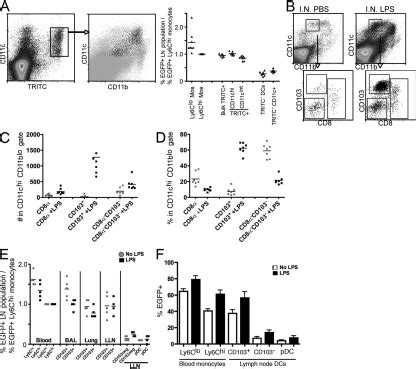 Egfp Reporter Expression In Lysm Cre Rosa Stopfloxegfp Mice By Dcs