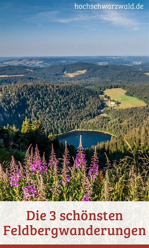 3 schönsten Wanderungen am Feldberg Wandern schwarzwald