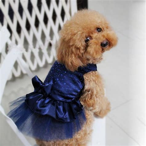 Wedding Dresses For Dogs – Oh my Glad