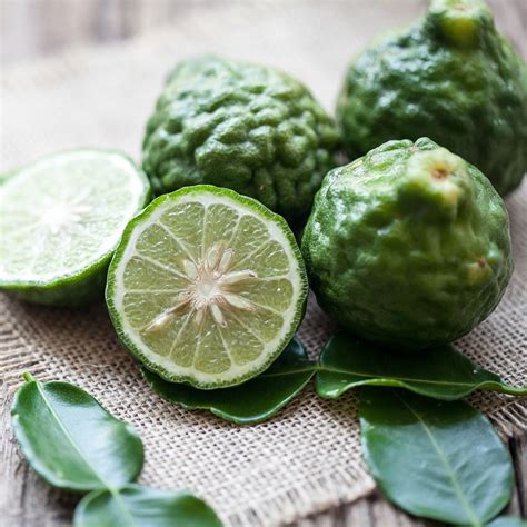 Bergamot & Patchouli Fragrance Oil - Eroma