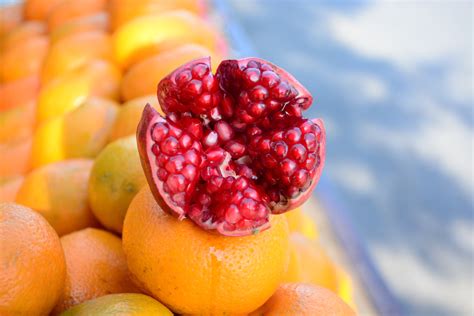 Free Images Plant Fruit Berry Seed Flower Orange Food Produce