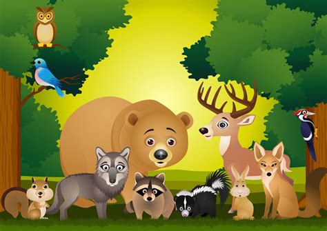 Animales del bosque :: Imágenes y fotos