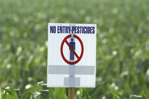 Study Shows Synthetic Pesticides Significantly More Dangerous Than