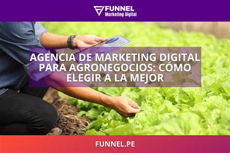 Agencia De Marketing Digital Para Agronegocios C Mo Elegir A La Mejor