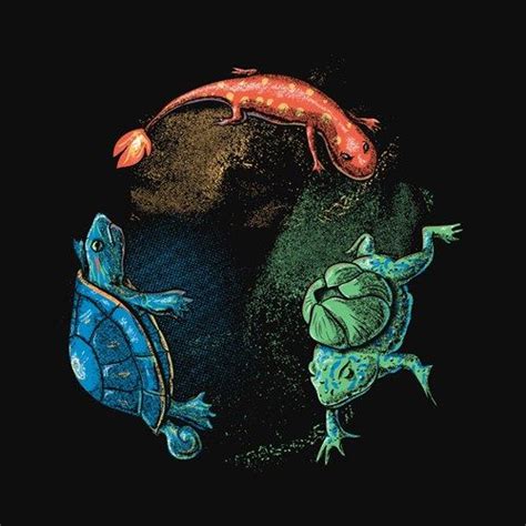 Starters Pokemon Realistic Pokemon Pokemon Starters