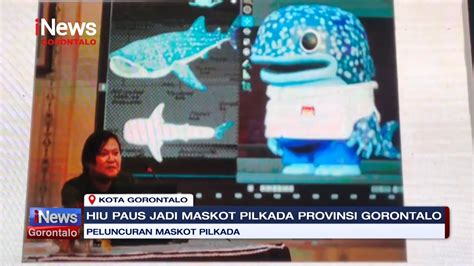 Hiu Paus Jadi Maskot Pilkada Provinsi Gorontalo Youtube