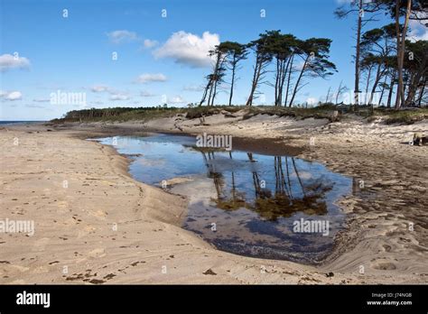 Fischland Dar Zingst Fotos Und Bildmaterial In Hoher Aufl Sung Alamy