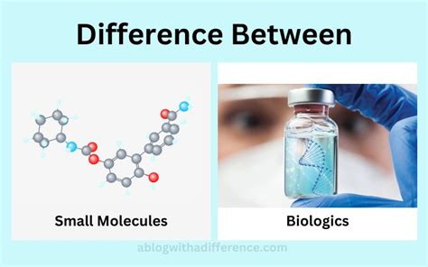 Between Small Molecules And Biologics Best 5 Difference