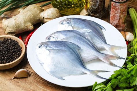 SILVER POMFRET/VELLA AVOLI/HAWA FISH (100g - 300g) - Fresh Kerala Store