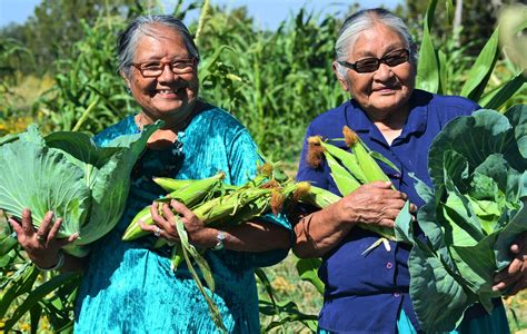 Decolonizing Regenerative Agriculture An Indigenous Perspective Bioneers