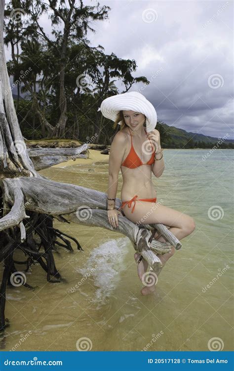 Girl In Red Bikini And Hat Stock Photo Image Of Tree 20517128