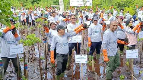 Peringati Hari Menanam Pohon Nasional UIP Maluku Dan Papua Tanam 2 000