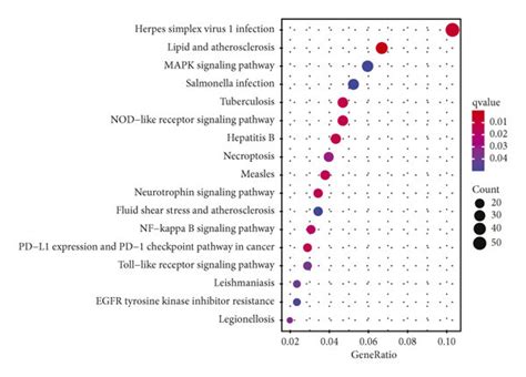 Construction Of Necroptosis Related Gene Signatures And Identification Download Scientific