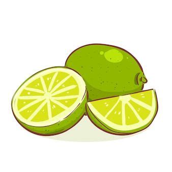 Vectores E Ilustraciones De Limon Dibujo Para Descargar Gratis