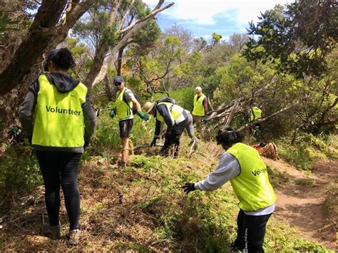 Volunteering In Nature