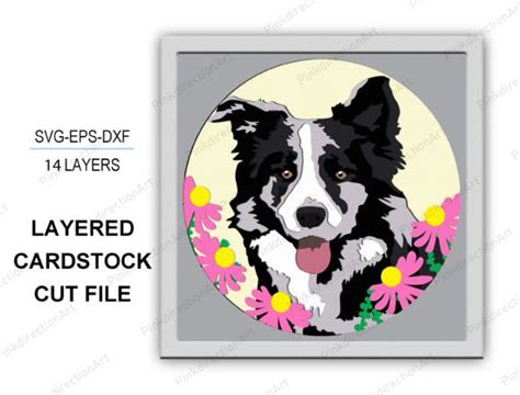 1 Svg Border Collie Designs And Graphics