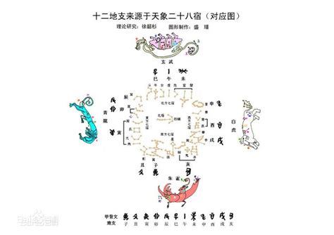 二十八星宿。 二十八宿的名称，自西向东排列为：东方苍龙七宿角、亢、氐、房、心、尾、箕；北方玄武七宿斗、牛、女、虚、危、室、壁；西方白虎