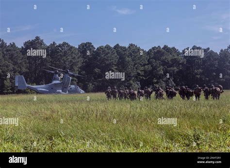 U S Marines With Alpha Company 2d Light Armored Reconnaissance