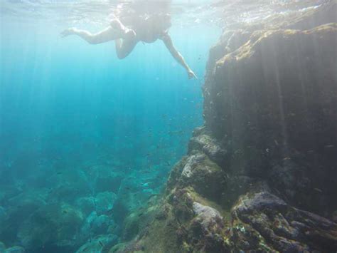 Madeira Garajau Marine Reserve Guided Snorkeling Tour GetYourGuide